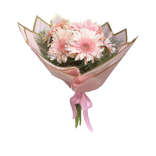 Pembe Ambalaj Kağıdında Pembe Gerbera Buketi