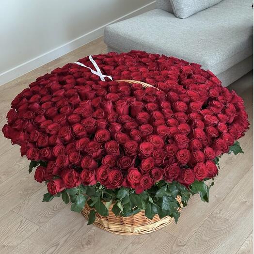🌹Royal Basket – 501 İthal Gul 🌹