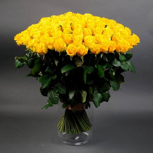 101 yellow rose