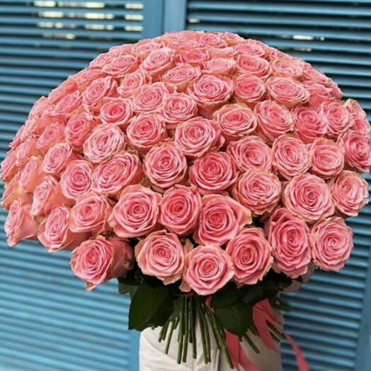 101 pink roses