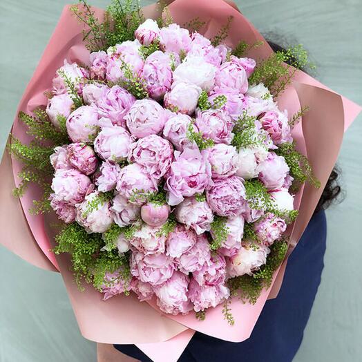 Royal-deluxe-pembe-50-sakayik