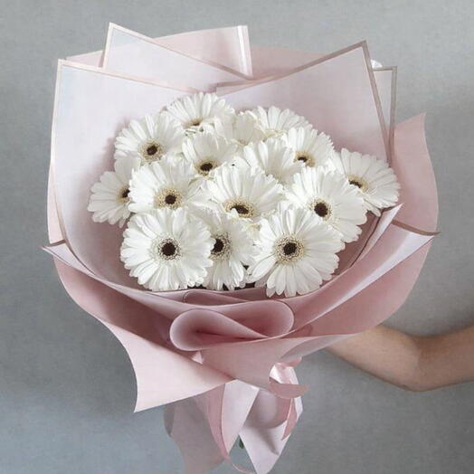 12 белых гербер