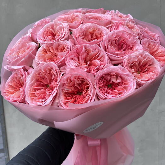 Pink Xpression
