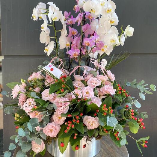 Bir kutu içinde orkide ve eustomalar