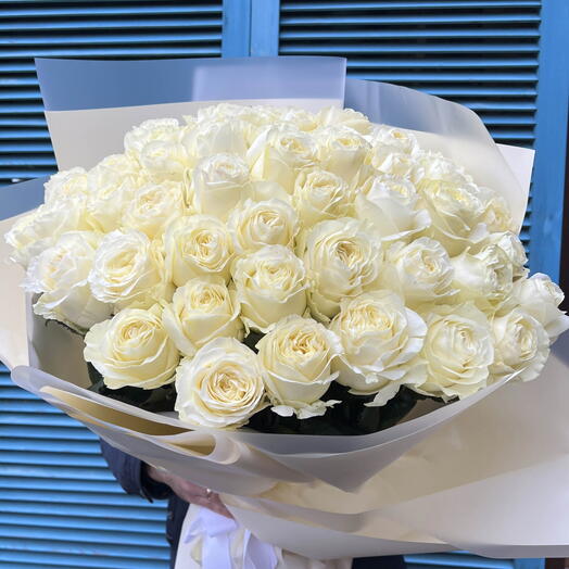71 White Roses