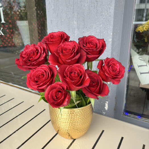 Şık saksıda 9 lu gul