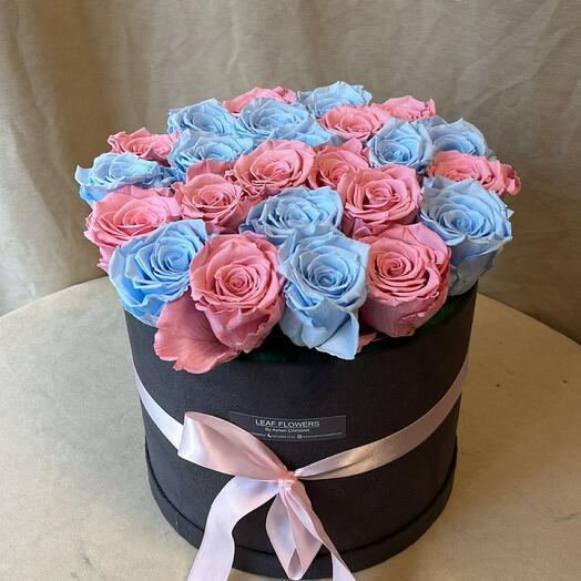 Kutuda mavi pembe şoklu gul