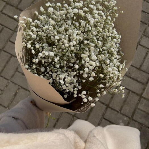 Kraft kağıdında cipsofilya