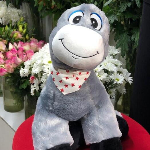 Buyuk boy eşek Buyuk boy eşek