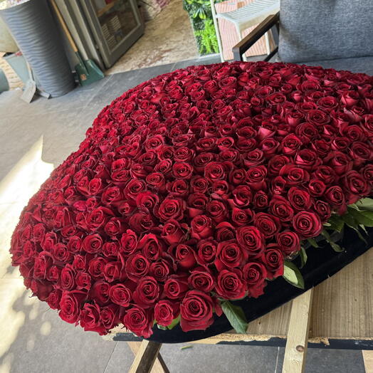 501 roses in heart box