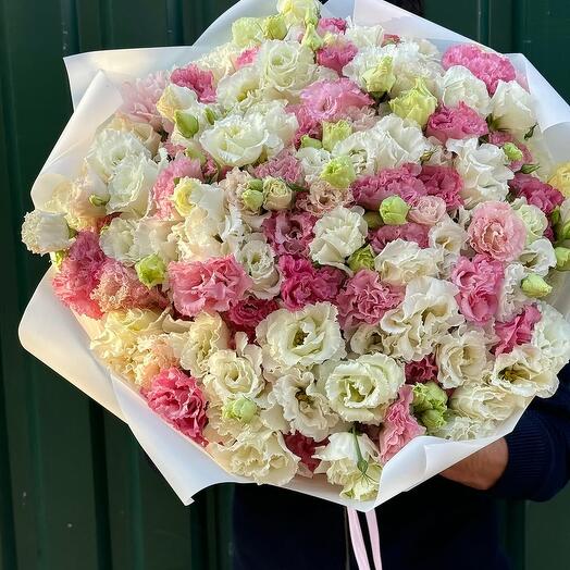 Delicate tones eustoma