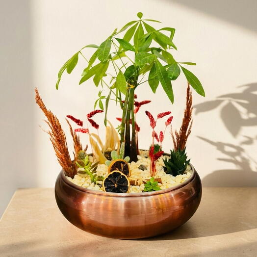 Saksıda Karışık Teraryum