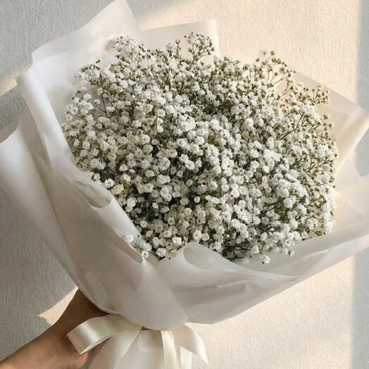 Beyaz Ambalaj Kağıdında Cipsofilya Buketi