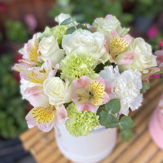 Eustoma    rose soft box