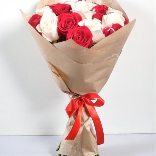 Phlox Innocence and Passion