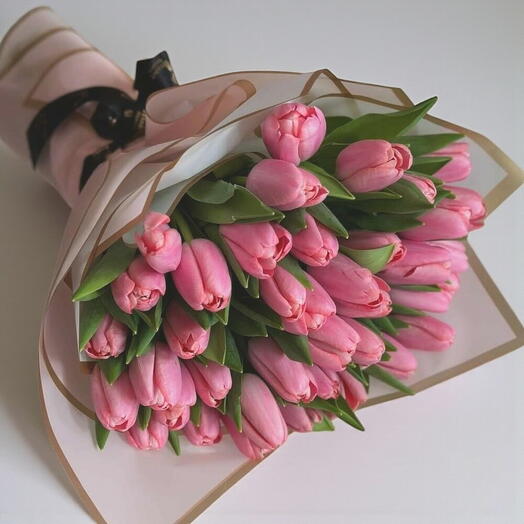 Pink tulipa