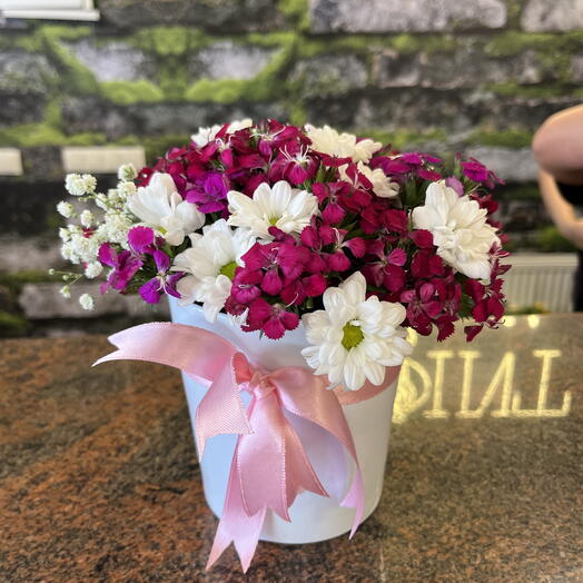 SERAMİK SAKSIDA HÜSNÜ YUSUF ÇİÇEĞİ