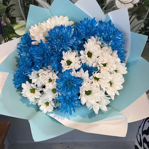 Blue dream mavi kasımpatı