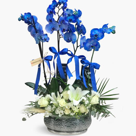 4 Dallı Mavi Orkide Tasarımı