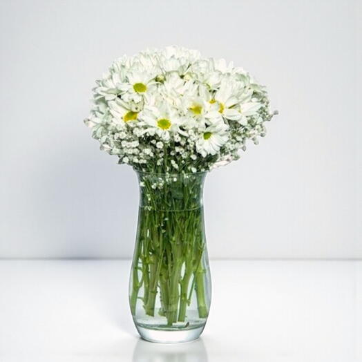 Vazoda Beyaz Papatya