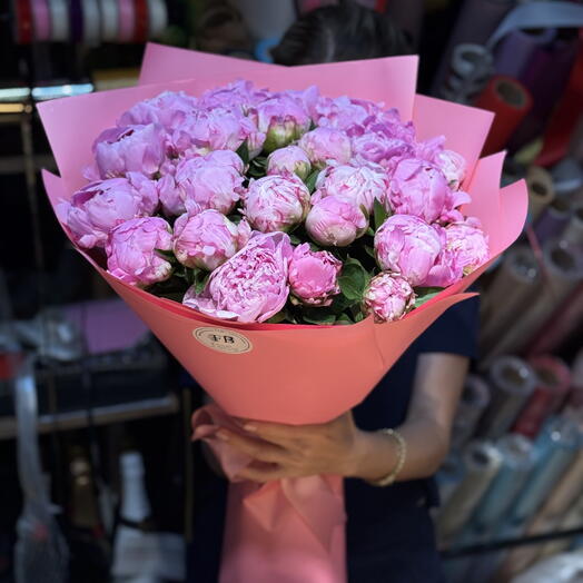 25 holland peonies big bouton