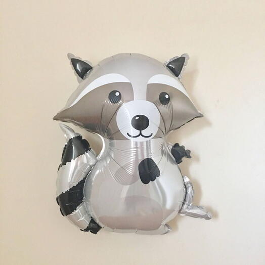 Rakun