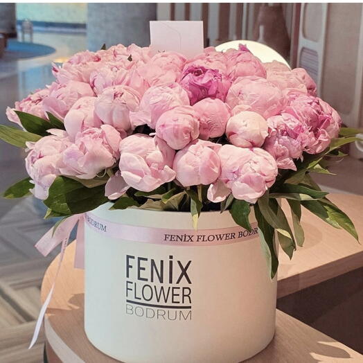 Kutulu çiçekler peony