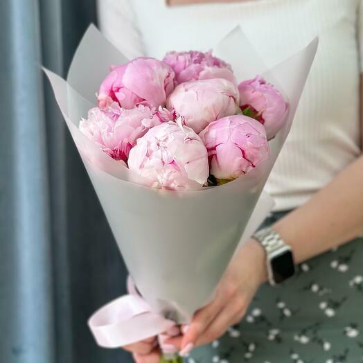 Paeonia Sarah Bernard