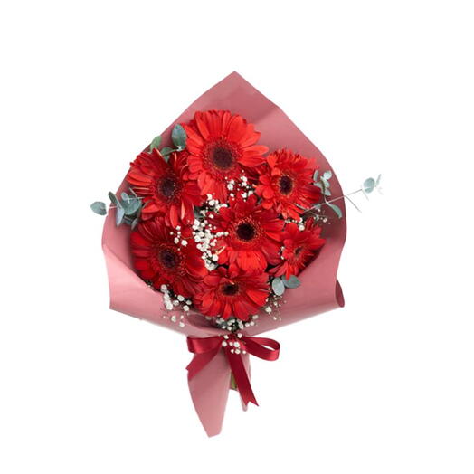 Pembe Ambalaj Kağıdında Kırmızı Gerbera Buketi