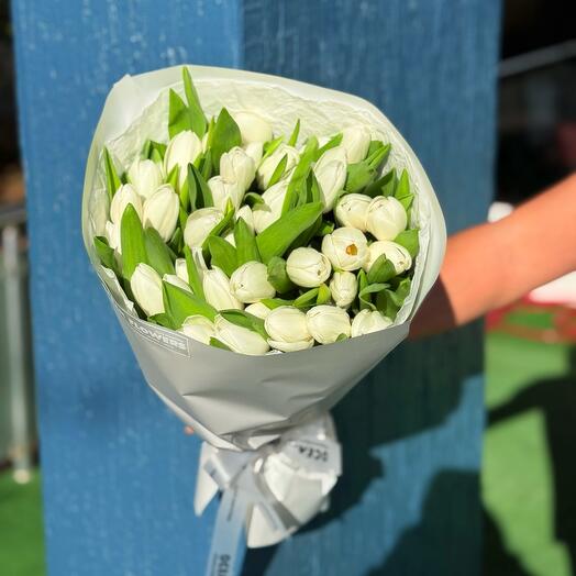 35 White Tulips
