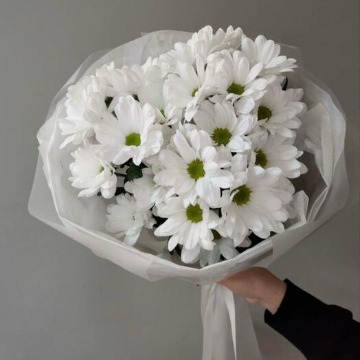 Saf ve Zarif Beyaz Papatya