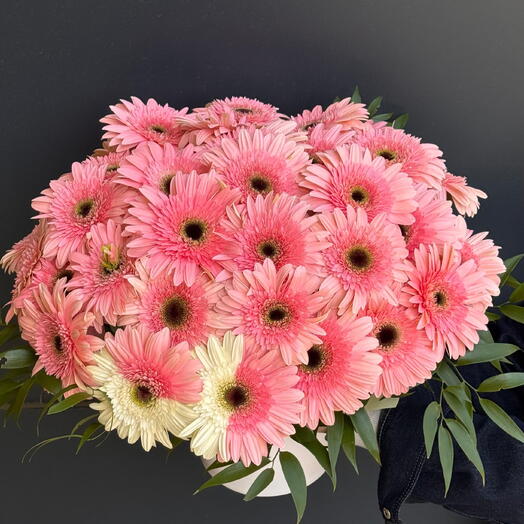 Gerbera Maxi Box
