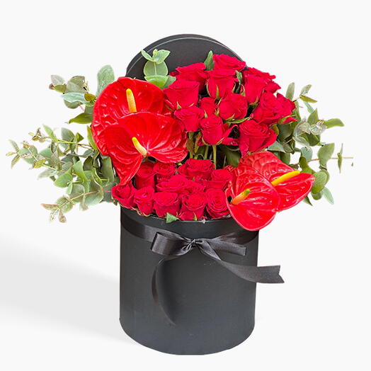 Siyah Kutuda Kırmızı Tutku