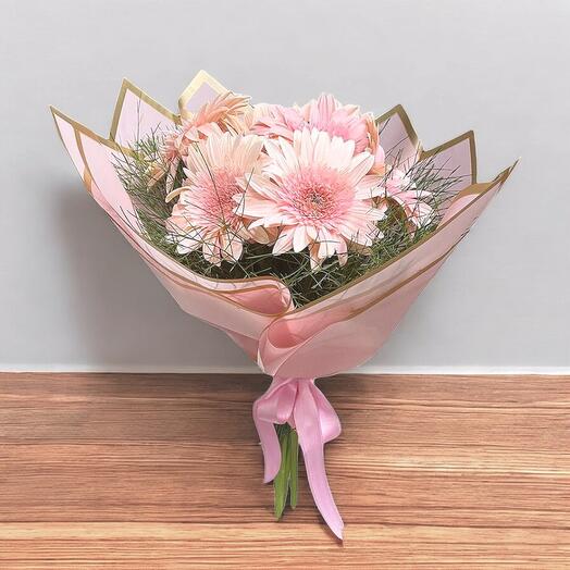 Pembe Gerbera Hill (8 li)