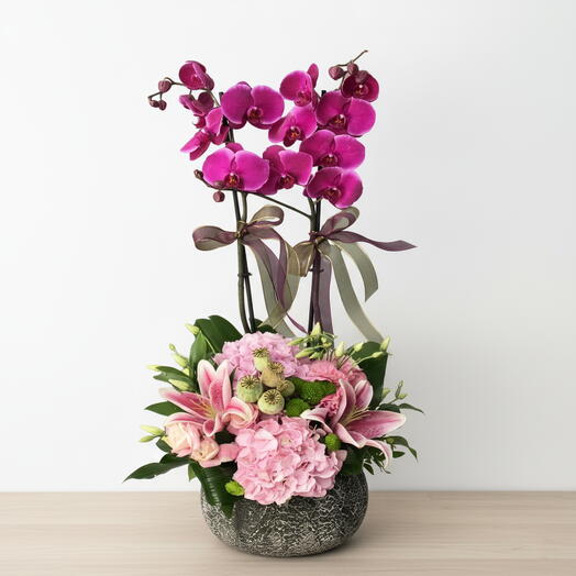 Mor orkideli lilyumlu arajman