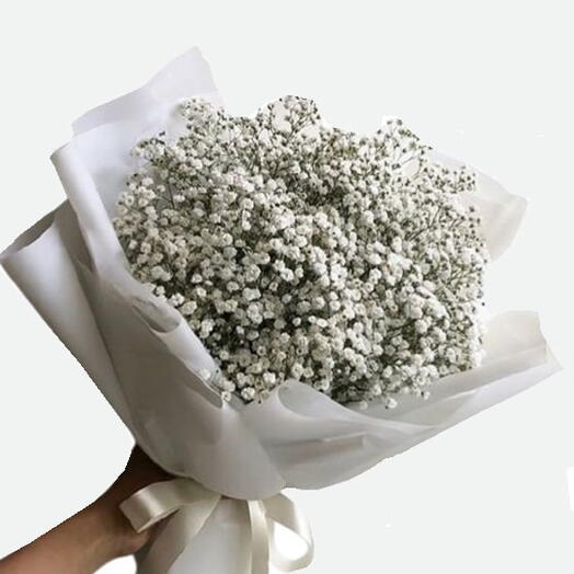 Gypsophila Buketi