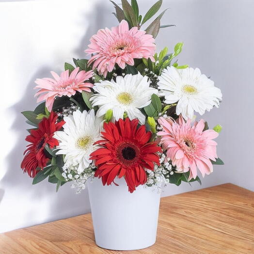 BEYAZ SERAMİKTE RENKLİ GERBERA ARAJMAN