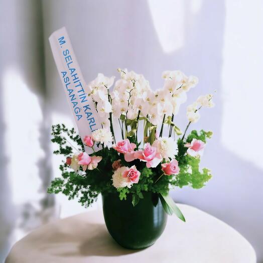 Siyah Saksıda 10 Dal Orkide Aranjmanı