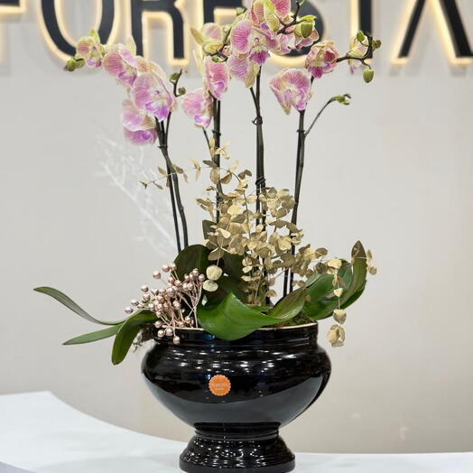 4 Dal Foresta Vazoda Mor Orkide Aranjmanı