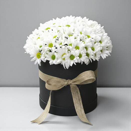 Siyah Kutuda Beyaz Papatya