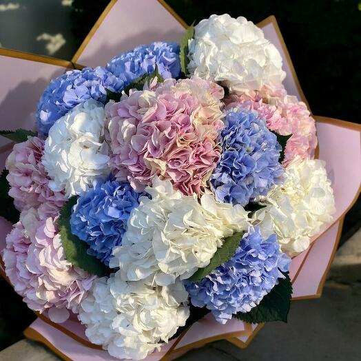 Renkli Ortanca Buketi