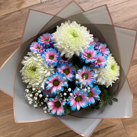 Anastasia ve Blue daisy