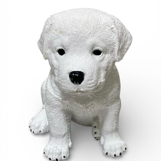 Labrador Biblo-Beyaz