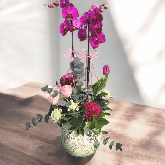 Orchids and roses