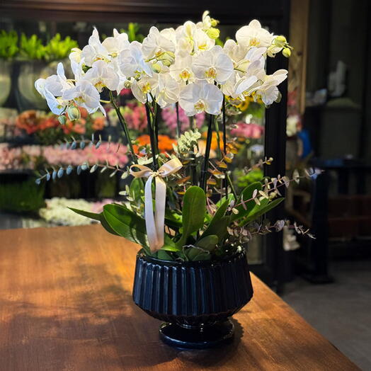 Beyaz Orkideler Tasarım Vazo HR837