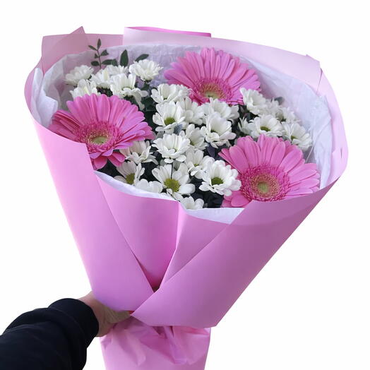 Ромашка гербера