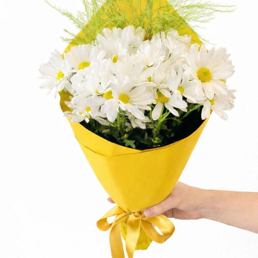 Fresh White Daisies in a Yellow Bouquet