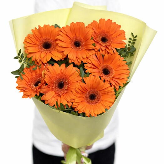 Оранжевая Гербера