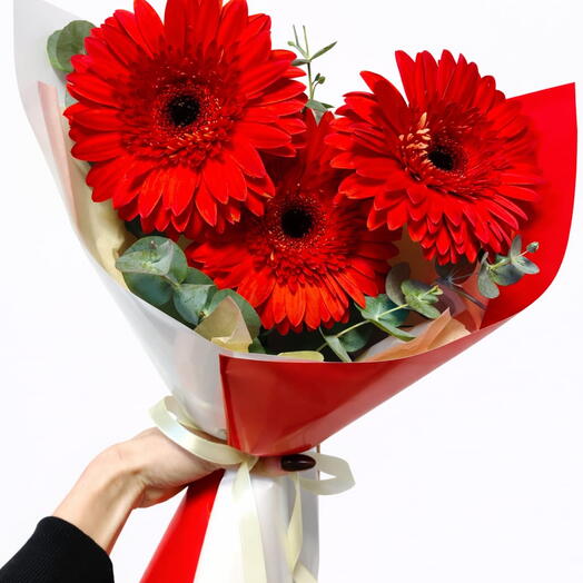3 Kırmızı Gerbera