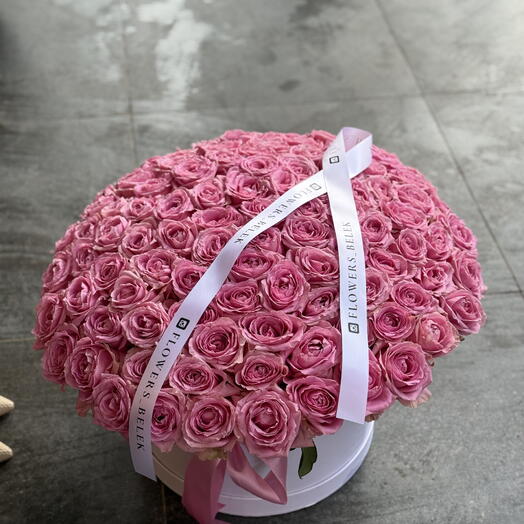 101 pink roses lovers